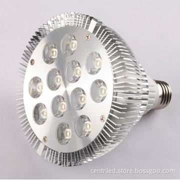 power & Efficient 12W Par38 LED spot light